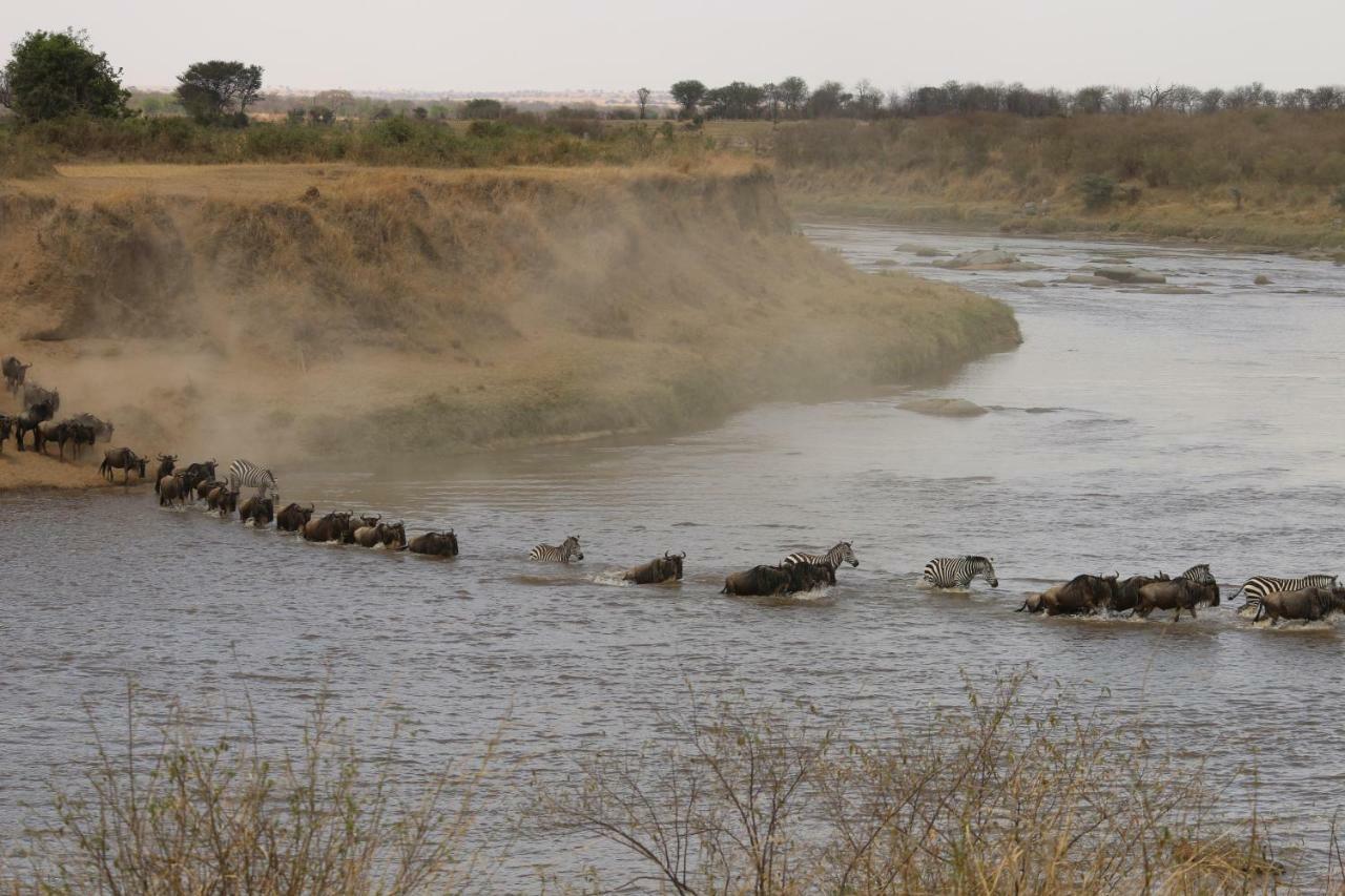 Gnu Mara River Camp Serengeti-Savanne Exterior foto